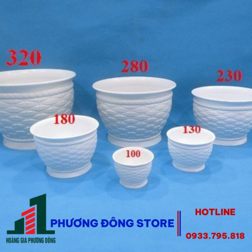 Chậu Đan Lục Bình 